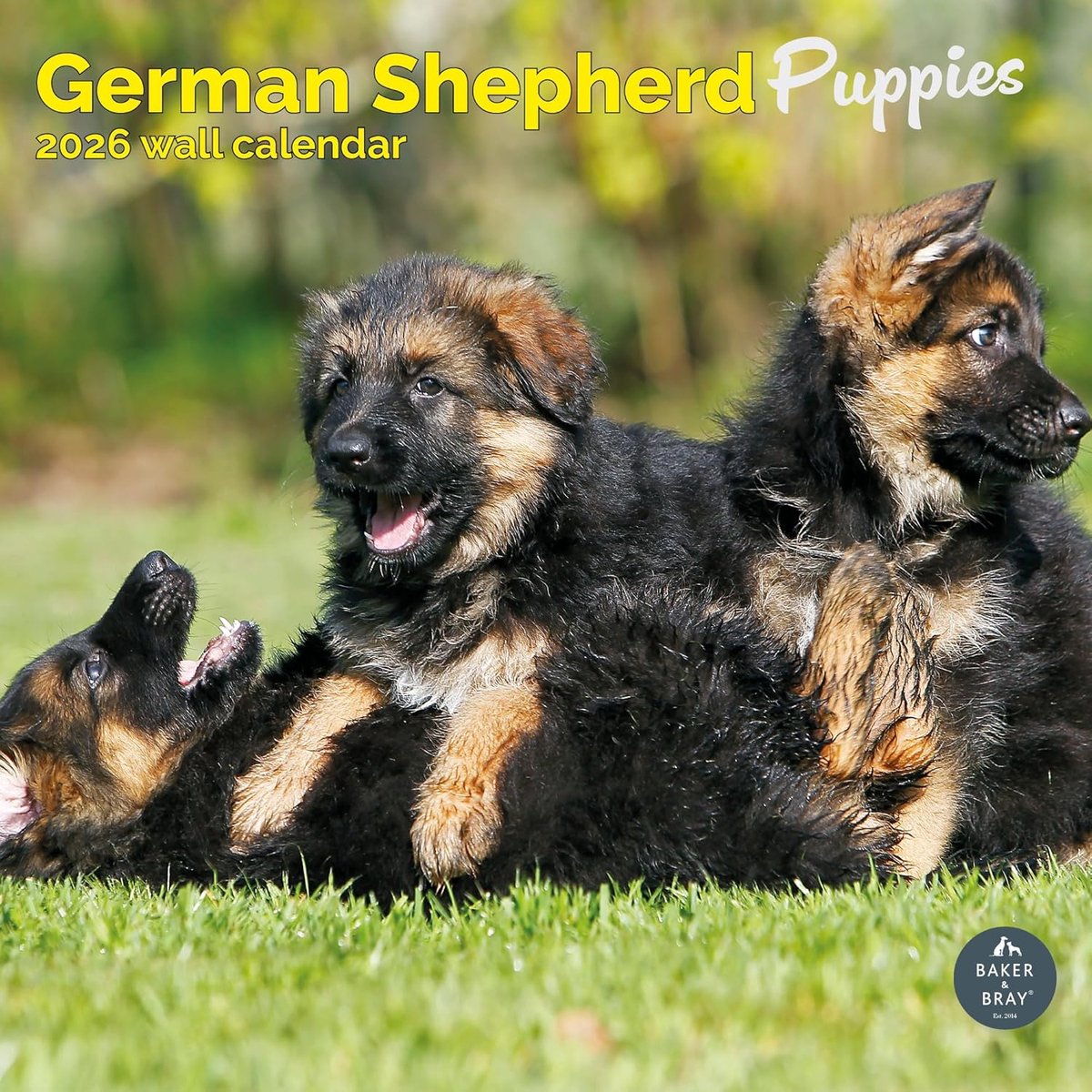 Duitse Herder Puppies Kalender 2027