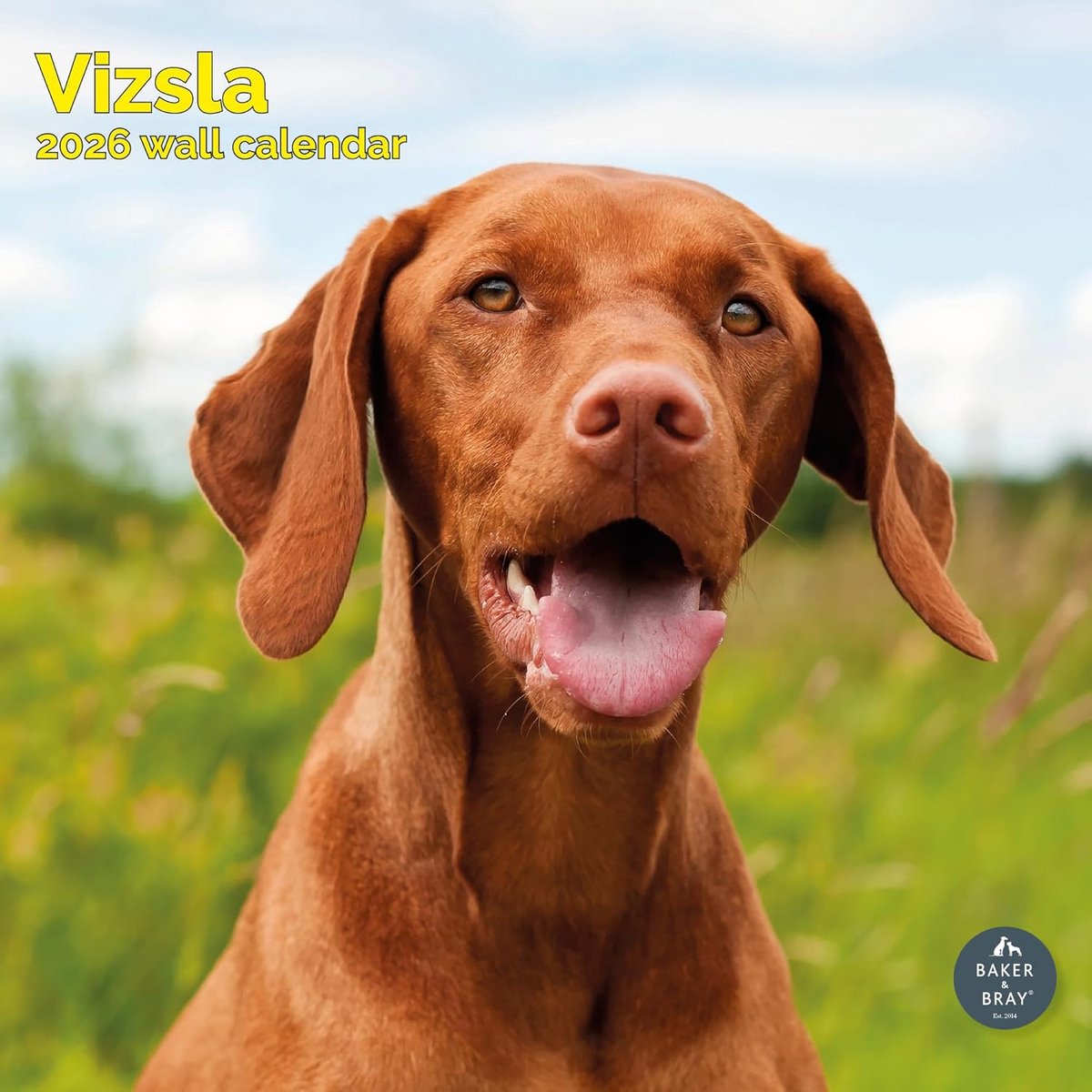 Vizsla Kalender 2027