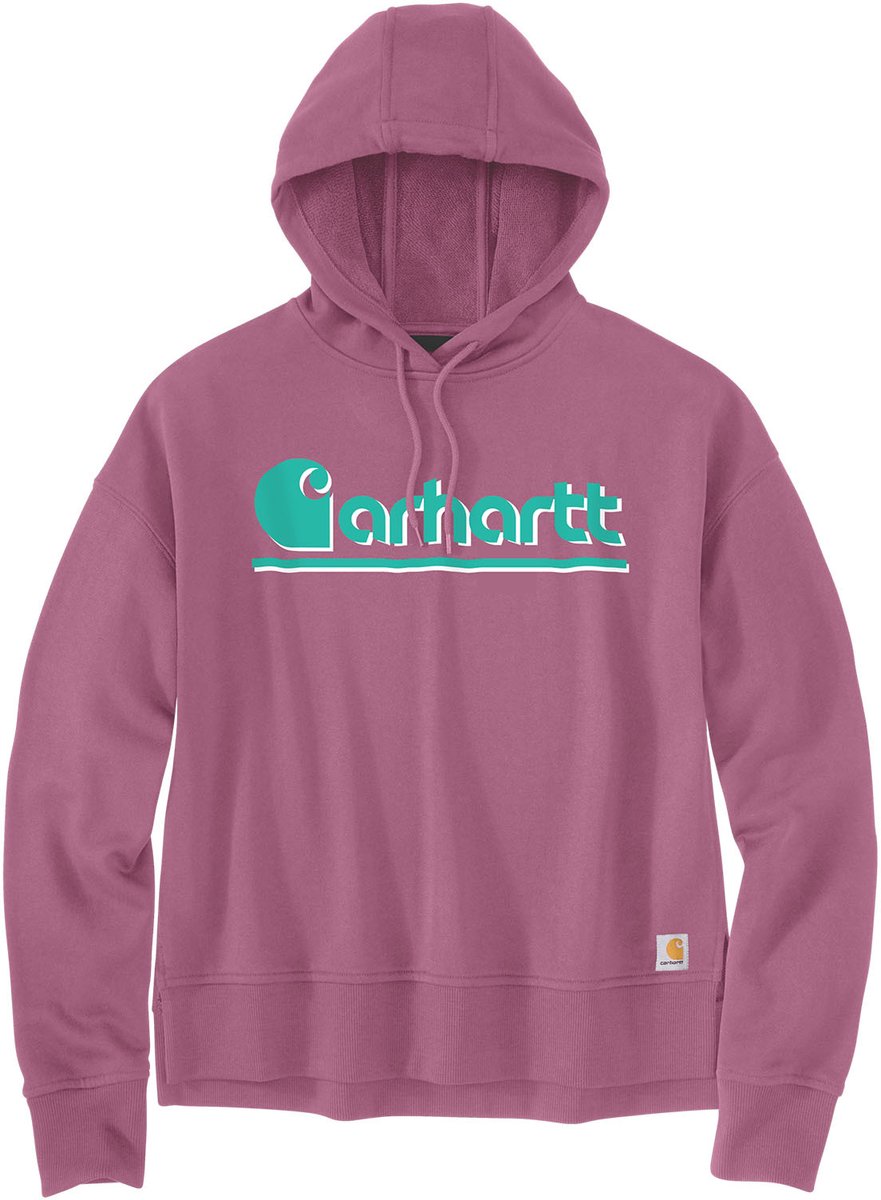 Carhartt Dames Fiber Series Graphic-sweatshirt met capuchon 106918