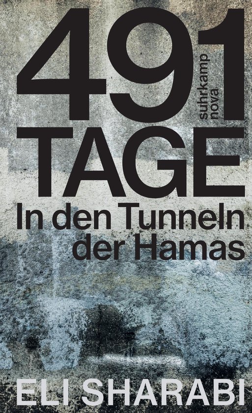 491 Tage - cover