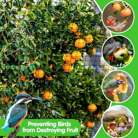 Vogelnet 5 x 4 m van Tuinadvies Planten opkweken Vogelnet 5 x 4 m van Tuinadvies Planten opkweken