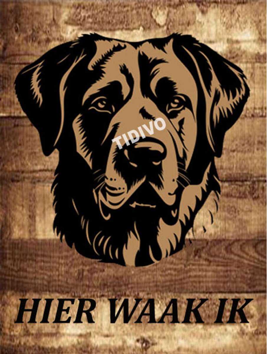 Anatolische Herder 20