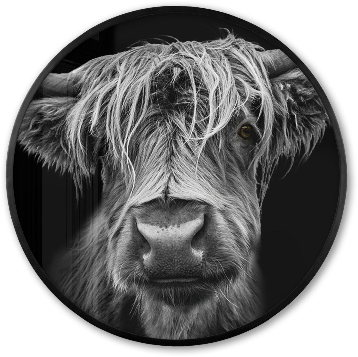 FrameYourWall Poster in lijst Rond - Fotolijst 80x80 cm - Posters - Schotse Hooglander - Horens - Zwart - Wit - Koe - Wild - Dieren - Ronde posterlijst zwart - Decoratie - Wanddecoratie woonkamer - Muurdecoratie slaapkamer Schotse Hooglander - Portret