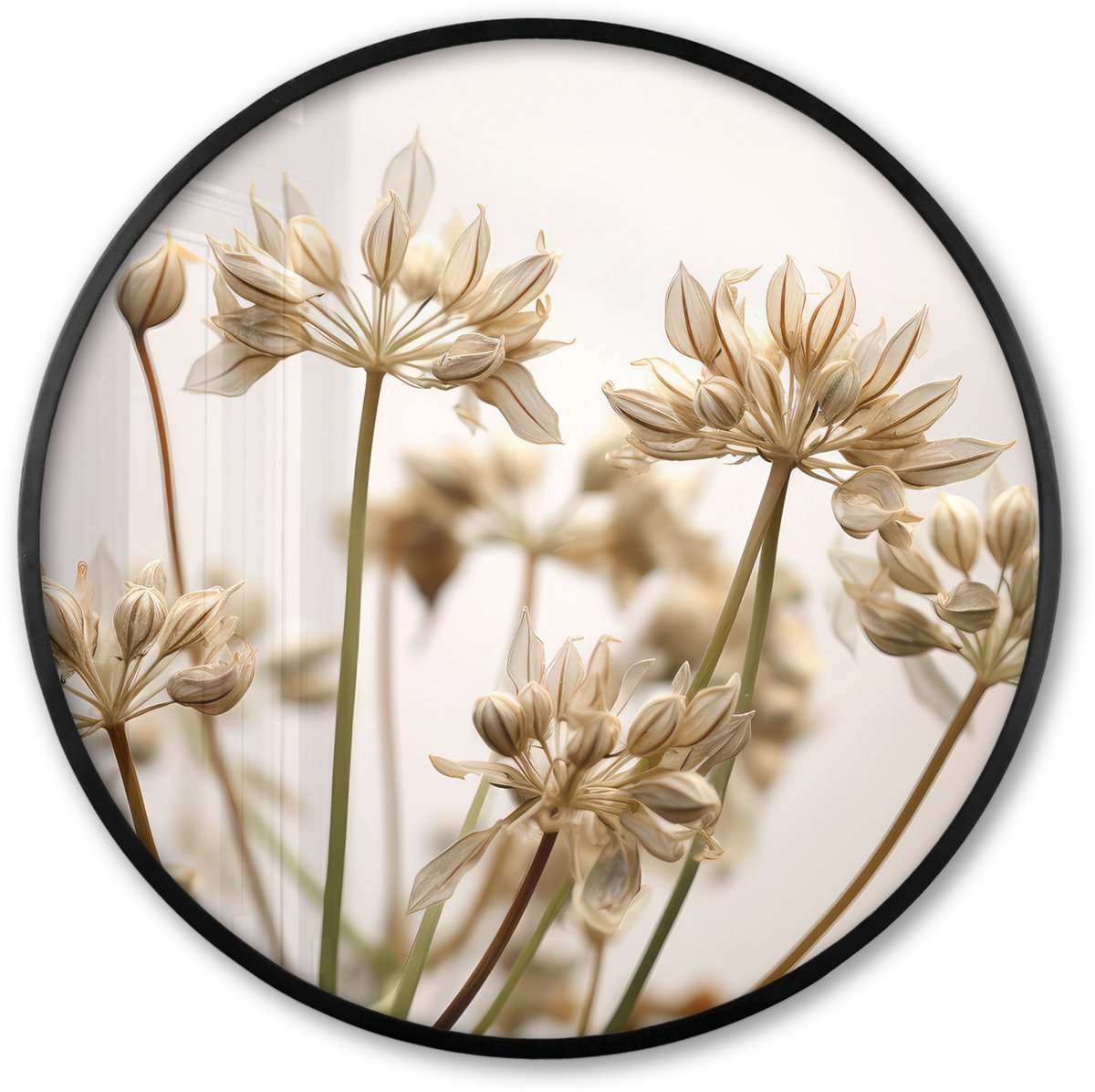 FrameYourWall Poster in lijst Rond - Fotolijst 60x60 cm - Posters - Droogbloemen - Beige - Wit - Planten - Ronde posterlijst zwart - Decoratie - Wanddecoratie woonkamer - Muurdecoratie slaapkamer Foto planten