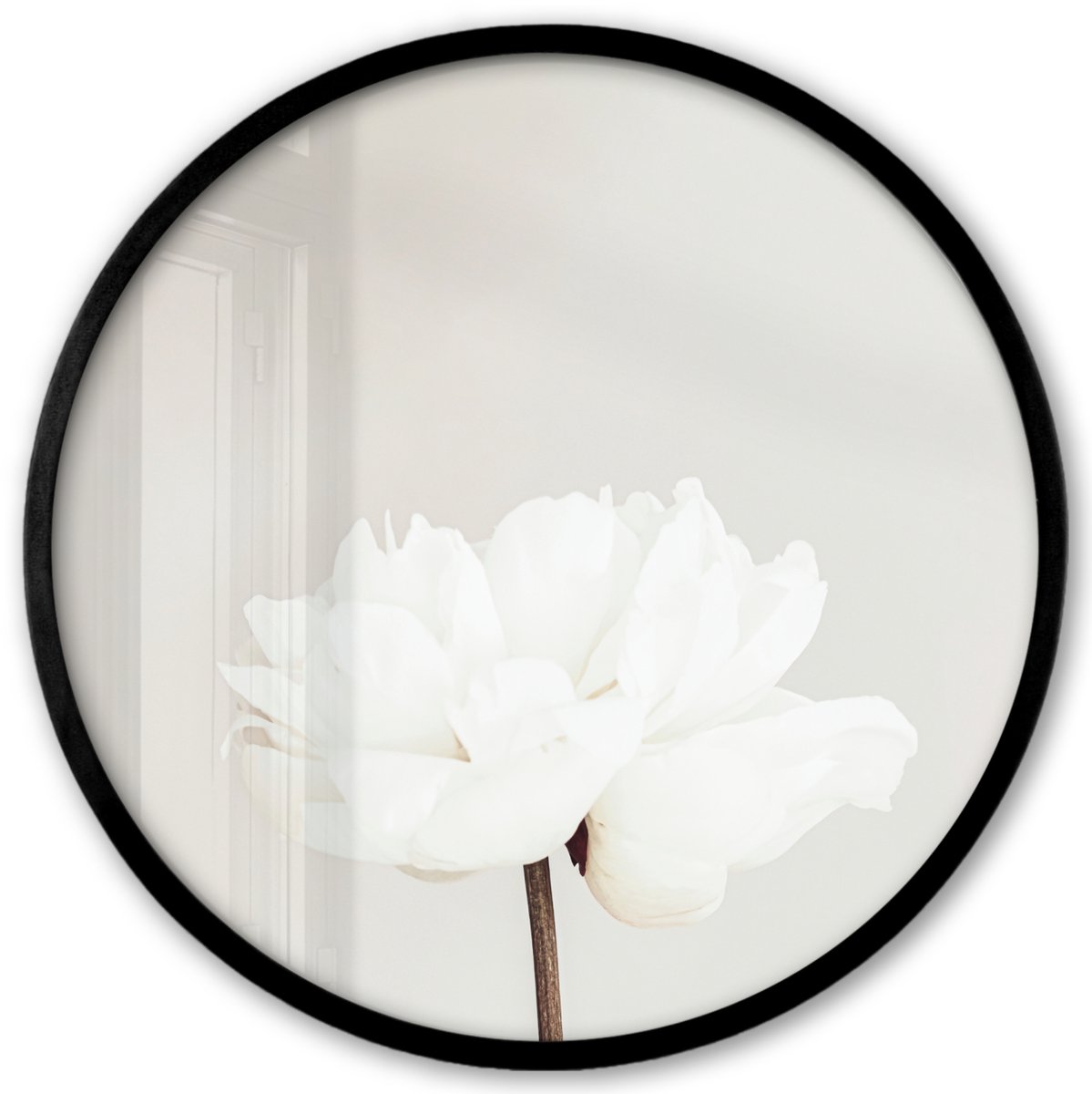FrameYourWall Poster in lijst Rond - Fotolijst 40x40 cm - Posters - Bloemen - Pioenroos - Wit - Stilleven - Ronde posterlijst zwart - Decoratie - Wanddecoratie woonkamer - Muurdecoratie slaapkamer Multicolor