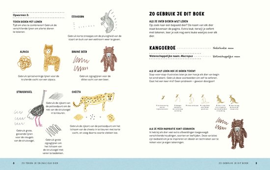 Zo teken je (bijna) elk dier