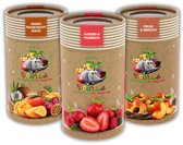TooTea 3 pack Aardbei Mango Perzik - Kinderthee - Vruchtenthee - Theïne vrije thee - Biologisch
