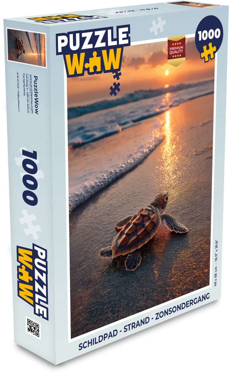 Schildpad - strand - Zonsondergang