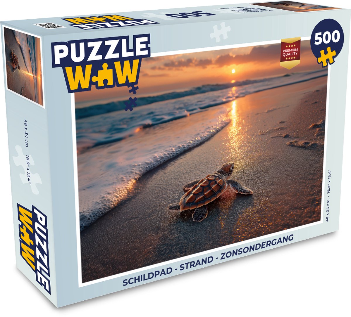 Schildpad - strand - Zonsondergang