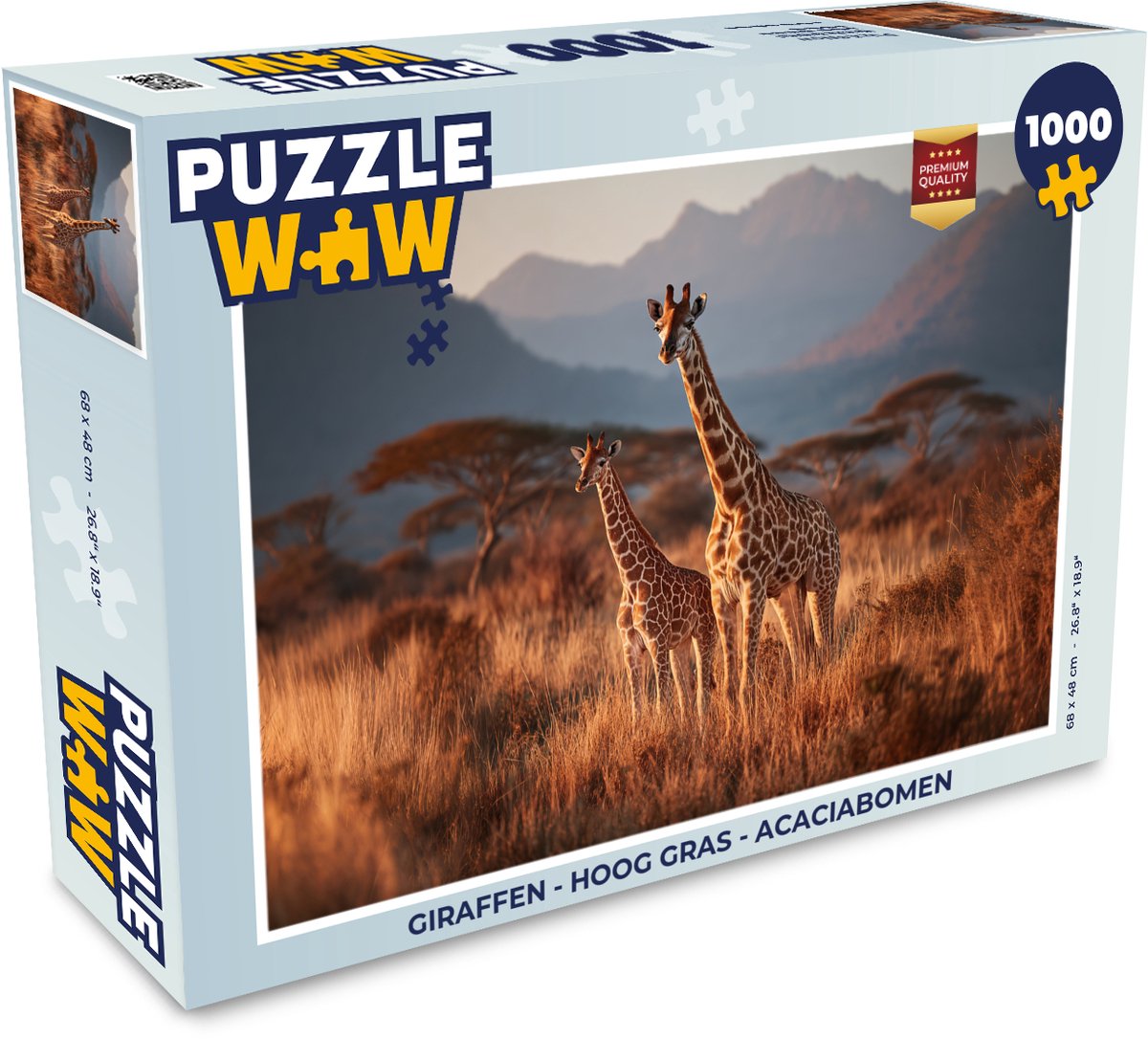 Giraffen - Hoog gras - Acaciabomen