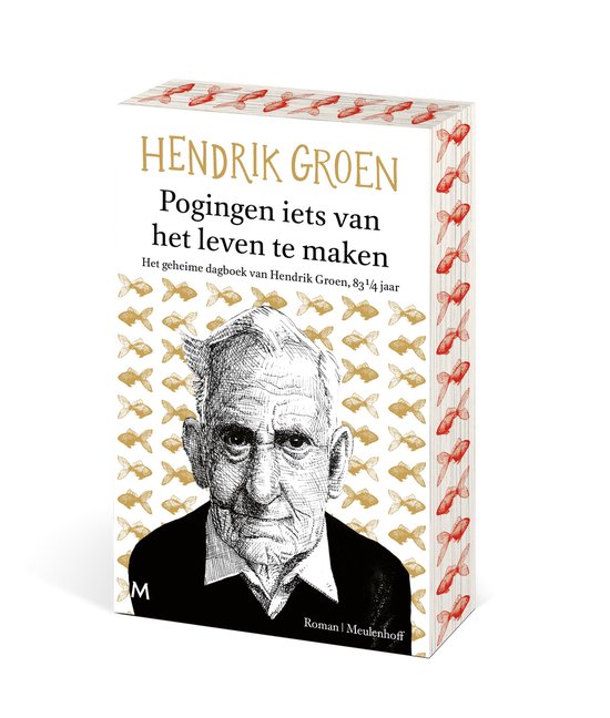 Pogingen iets van het leven te maken