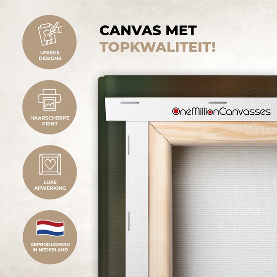 Tableau sur toile 200x100 cm - Décoration murale exclusive Écureuil - Noix - Herbe - Décoration murale salon - Décoration chambre - Accessoires chambre - Peintures sur toile