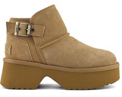 Colors of California - Bottines en daim - Cognac - Pointure 40