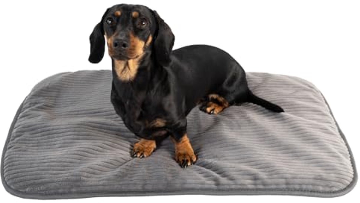 Hondenmat grijs Basic 70 x 45 cm - Zacht, Wasbaar, Allergievriendelijk voor Middelgrote Honden