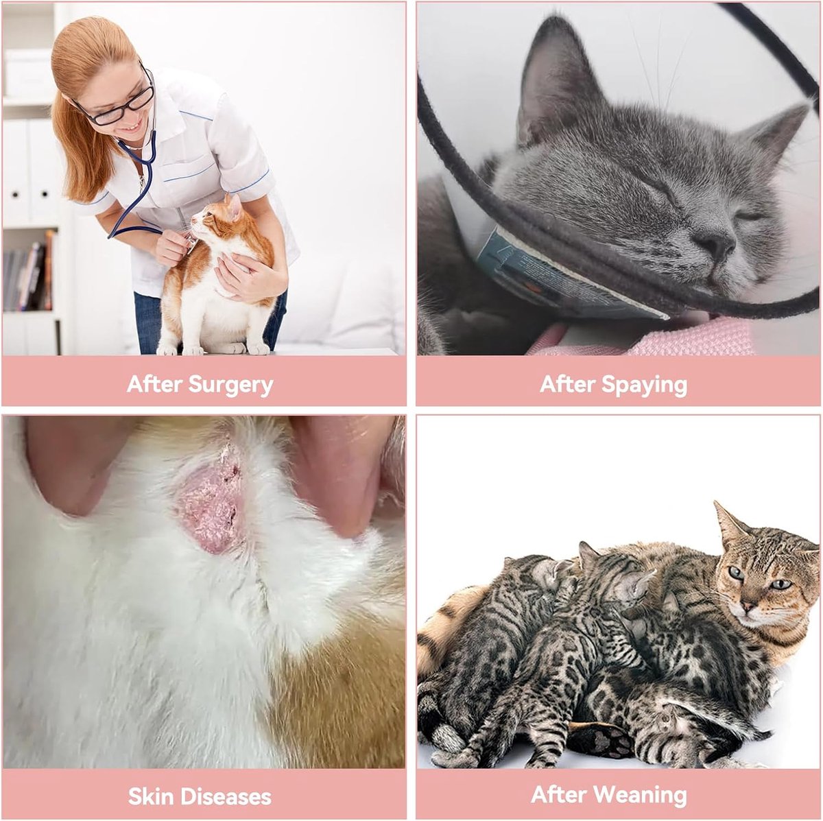 Kattenonesie na operatie, kattenherstelpak voor vrouwtjes en mannen, kattenlichaamspakken voor medische zorg, kittenkleed anti-likken, chirurgisch vest voor buikwonden of huidziekten (M, paars