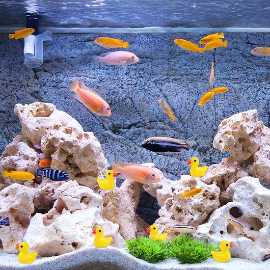 CYUXING Lot De 120 Mini Canards Phosphorescents En Résine - Déco Jardin, Aquarium, Bureau Et Plantes - Brillent La Nuit Déco Bureau Mignonne