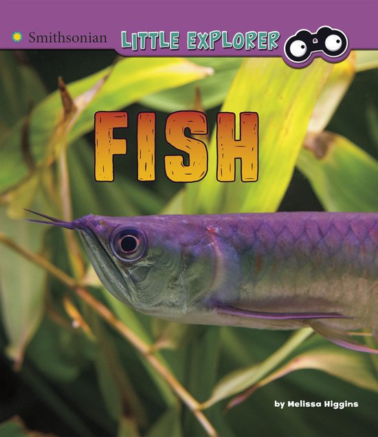 Little Zoologist - Fish