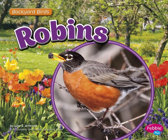 Backyard Birds - Robins