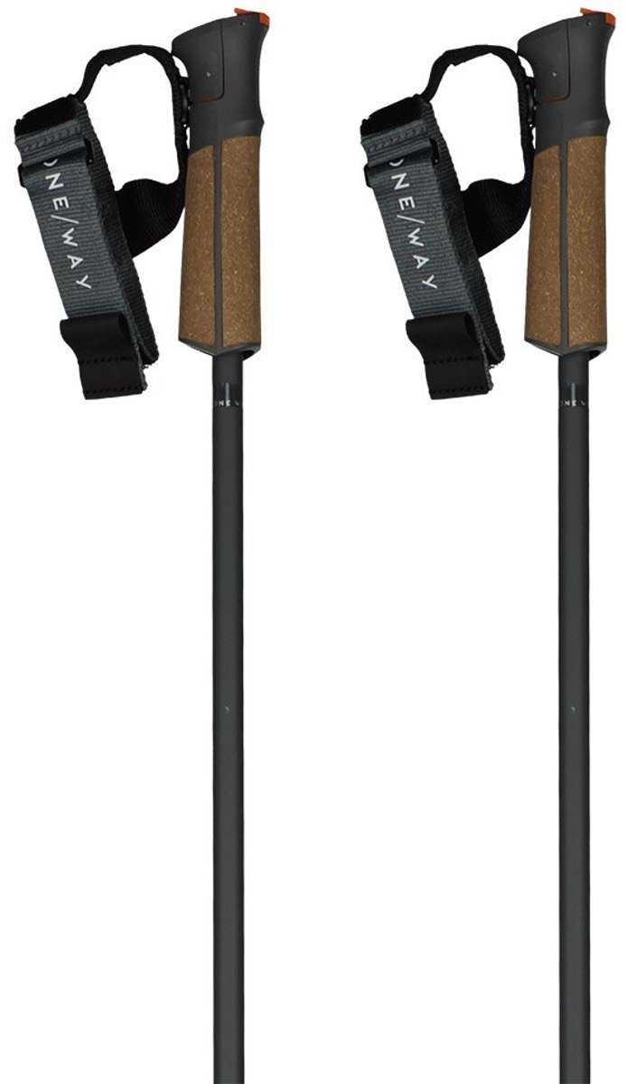 Fischer Gt 13 Comp Mag Stokken Bruin 125 cm