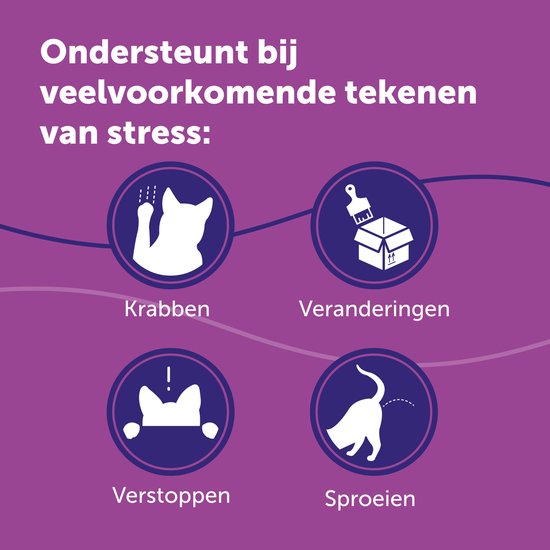 Iconen die kattenstress signalen tonen: krabben, veranderingen, verstoppen, sproeien.