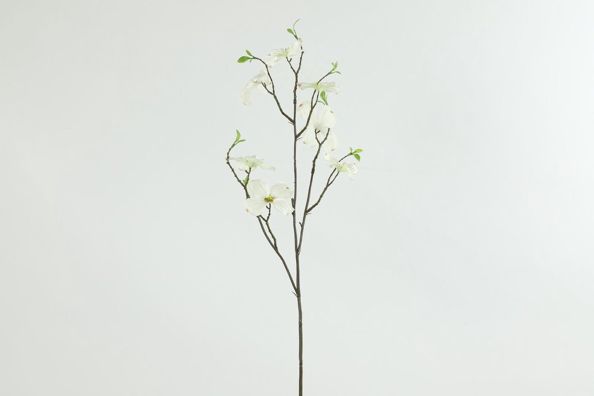 Countryfield Kunstbloem Cornus M wit Meerkleurig