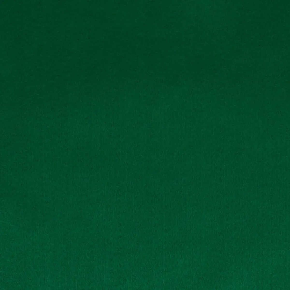 Viltlapje 20 x 30 cm Groen
