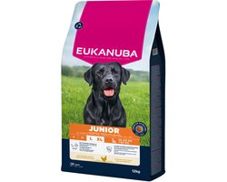 Eukanuba Junior Large Breed Kip - Hondenbrokken - 12 kg