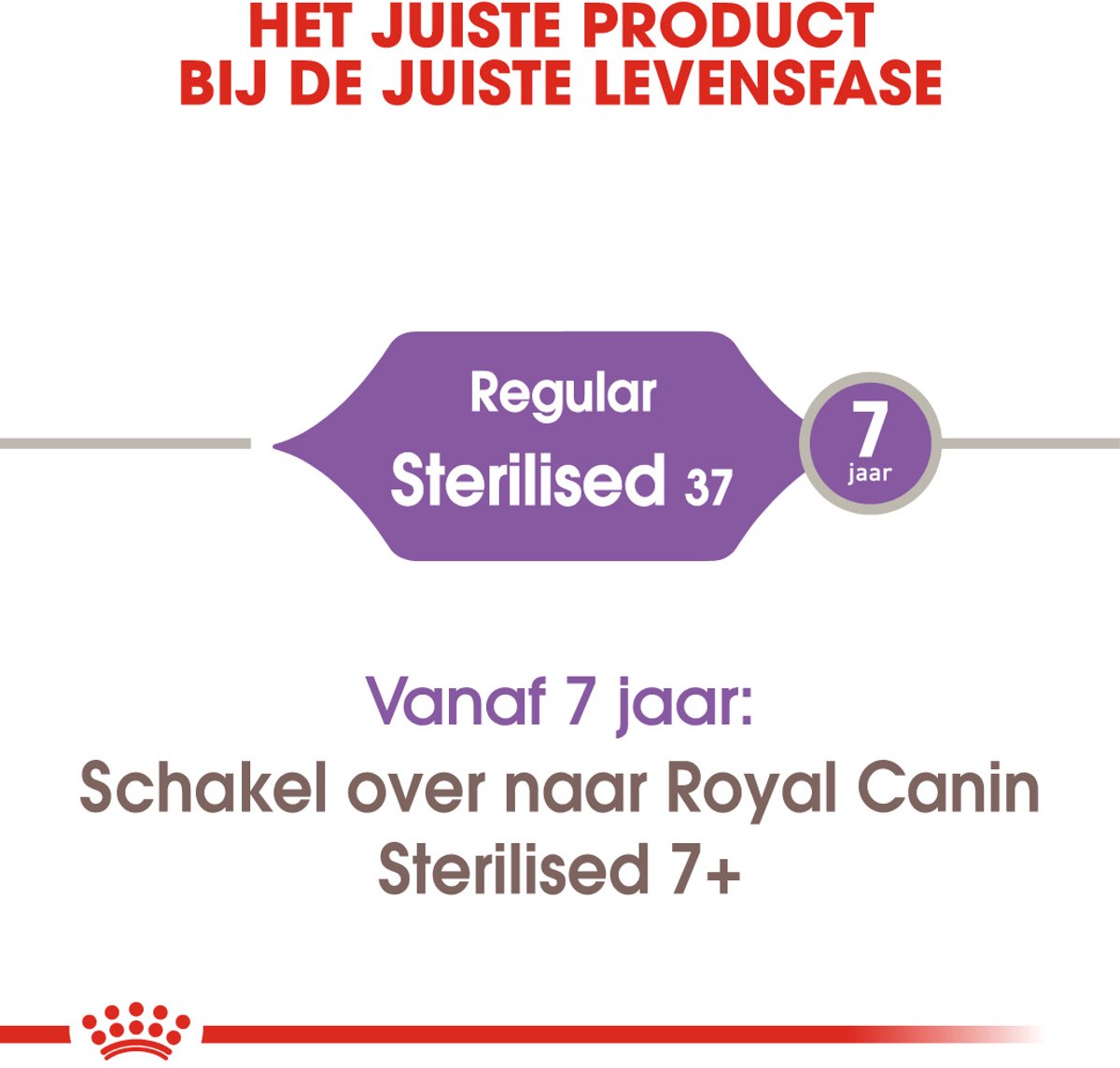 Royal Canin Sterilised 37 - Kattenvoer voor gesteriliseerde katten thumbnail 6