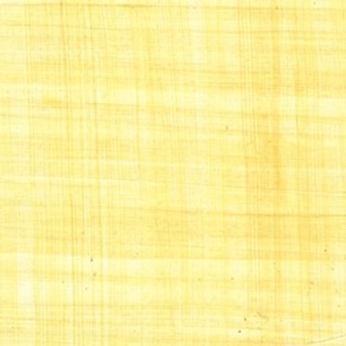Set van 10 vel echte papyrus, 30x21cm, natuurkleur