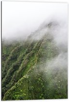 Dibond - Berg met Mist - 60x90cm Foto op Aluminium (Met Ophangsysteem)