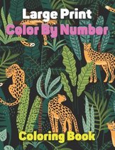 Large Print Color By Number Coloring Book