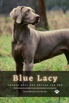 Blue Lacy