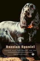 Russian Spaniel