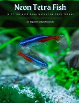 Neon Tetra Fish