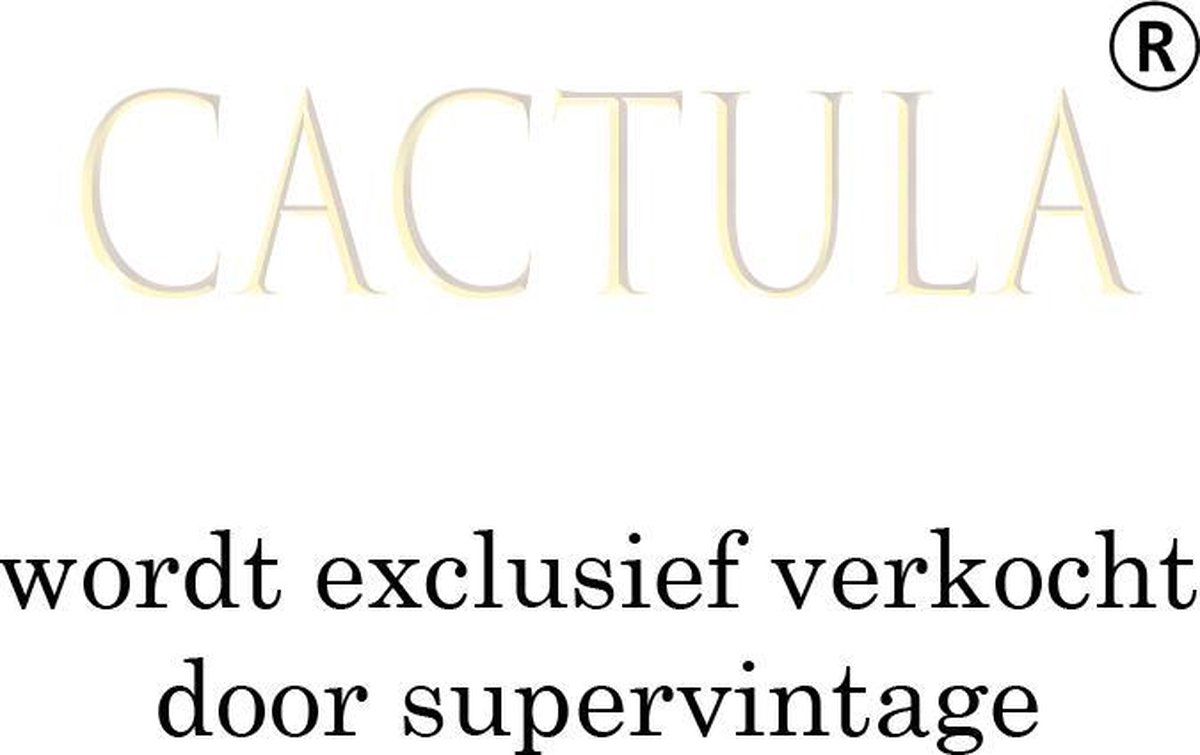 Cactula mooie lange dinerkaarsen 28 cm in 3 Trendy Kleuren 9 stuks |Clouds | Dark Grey / Champagne / Steel Grey