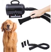Waterblazer hond - Hondendroger