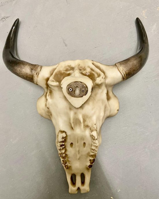 Lange Hoorn Koe Schedel Muur Opknoping Decor Faux Schedel Taxidermie Dierenkop Muur Decor Handgemaakte Boerderij Decor Stier Schedel Muur Sculptuur Hars Decoratie