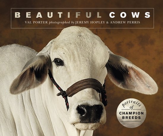 Beautiful Animals - Beautiful Cows - cover