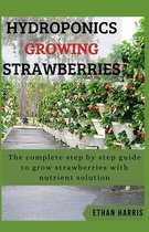 Hydroponics Growing Strawberries