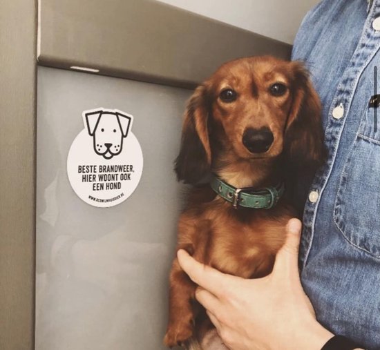 Red Mijn Huisdier Sticker -  Hulpdiensten  -  Hond - Red Mijn Huisdier
