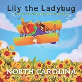 Lily the Ladybug Travels the United States of America - North Carolina