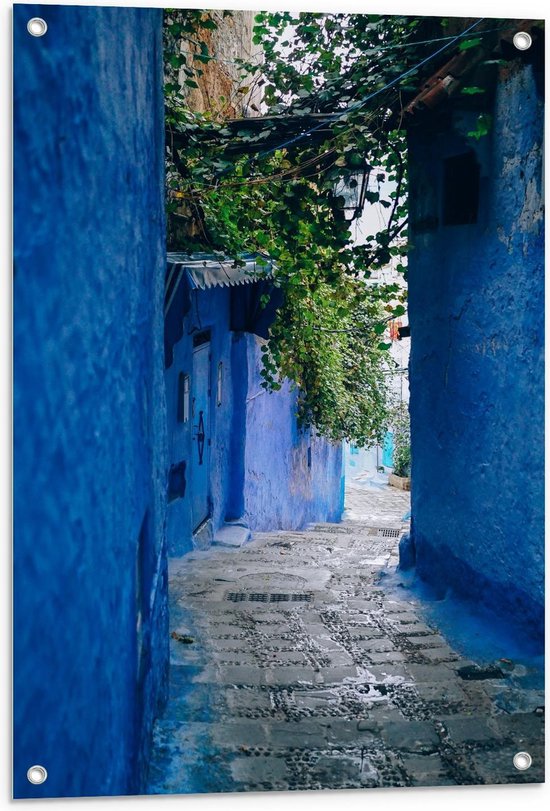 Tuinposter – Blauwe Muren van Huizen in Steegje - 60x90cm Foto op Tuinposter  (wanddecoratie voor buiten en binnen)