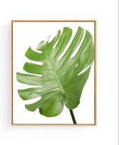 Poster Botanisch Tropisch Blad Rechts - 70x50cm - Planten - Muurdecoratie