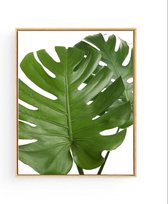 Poster 2 Botanische Tropische Bladeren  - 70x50cm - Planten - Muurdecoratie
