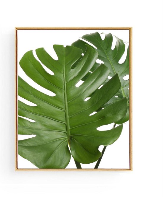 Poster 2 Botanische Tropische Bladeren  - 70x50cm - Planten - Muurdecoratie