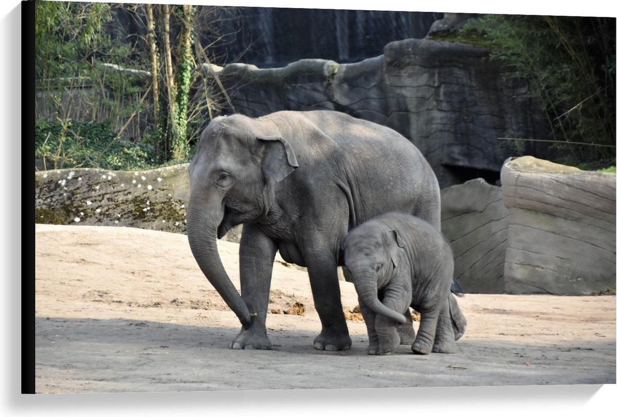Canvas  - Olifant met Baby - 90x60cm Foto op Canvas Schilderij (Wanddecoratie op Canvas)