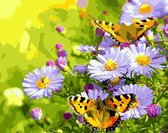Joeni® Schilderen Op Nummer - 40x50cm - Natuur en Dieren: Vlinders tussen Bloemen - Volwassenen - Geschenkverpakking