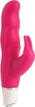Silicone Rabbit - Rabbit Vibrators - pink - Discreet verpakt en bezorgd