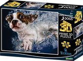 3D Image Puzzel - Underwaterdogs Popcicle (100)