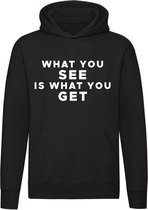 What you see is what you got sweater | relatie | carriere | Werk | cadeau | unisex | capuchon